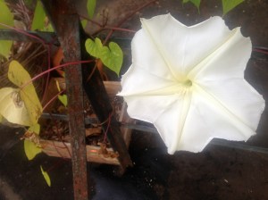 09.29.2013.tuihealthcare