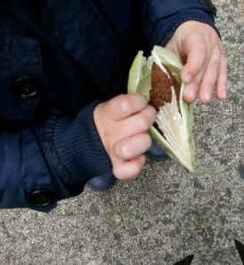 10.04.2013.tuihealthcare