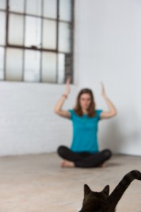 10.10.2013.tuihealthcare