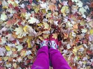 10.16.2013.tuihealthcare