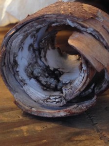 11.01.2013.tuihealthcare