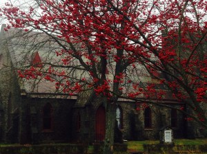 tuihealthcare.12.24.13