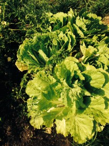 doitafraid.tuihealthcare