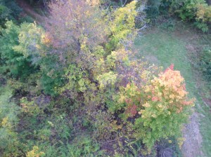 creekpath.tuihealthcare